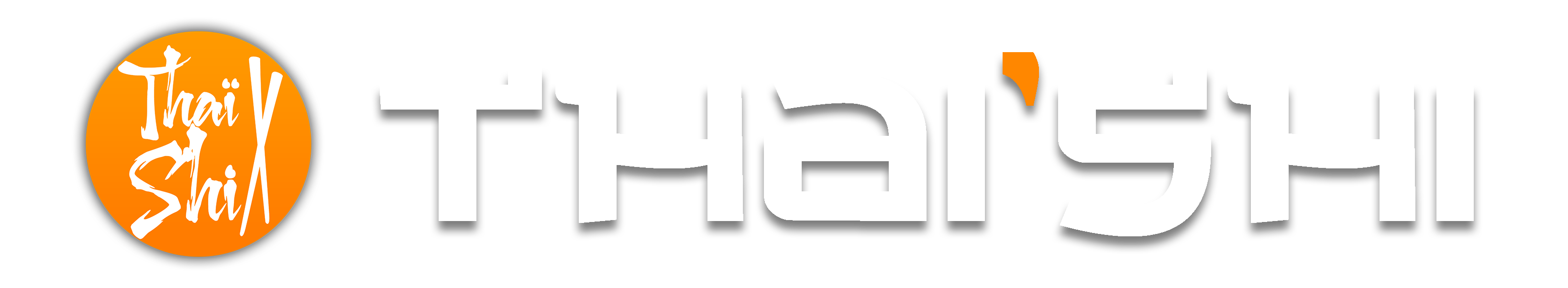 Logo TS Horizontale copy